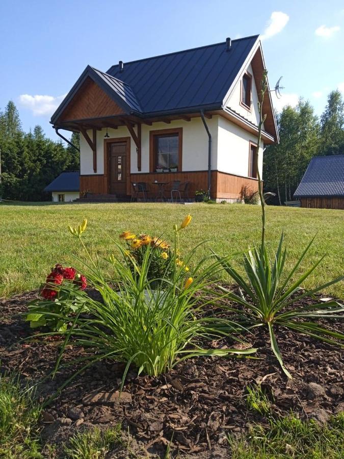 Апартаменты Siedlisko Czarny Dzieciol Narewka Экстерьер фото
